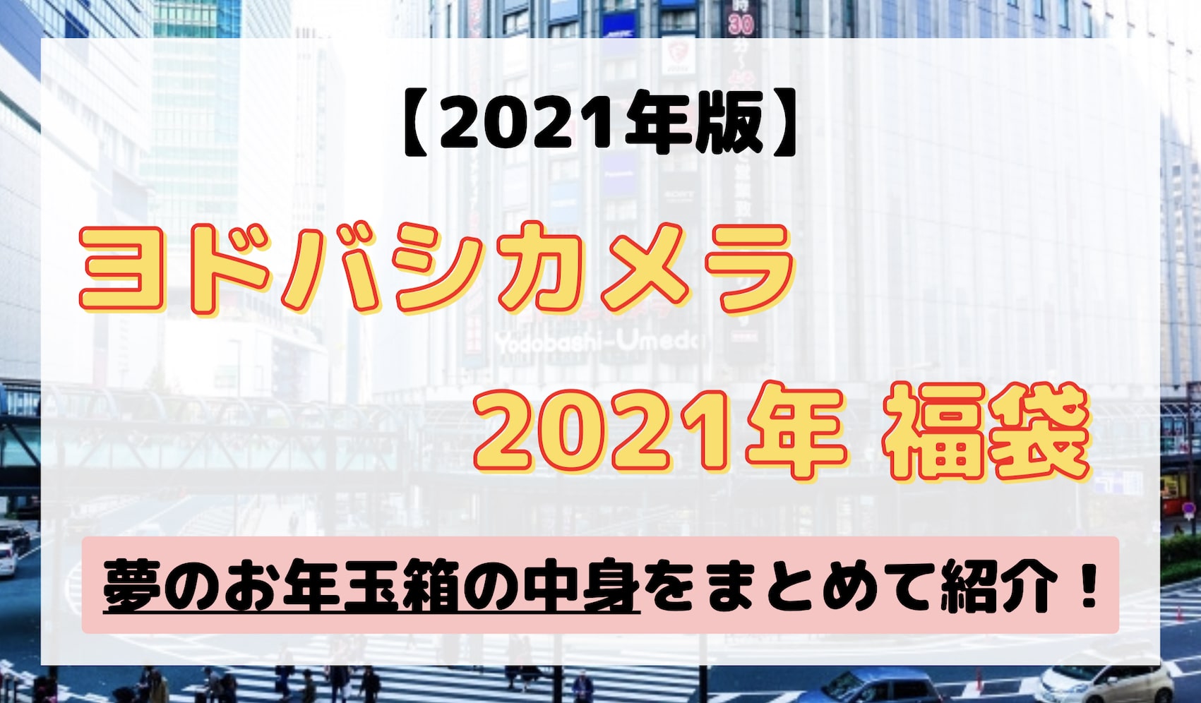 ヨドバシ 福袋 夢のお年玉箱 2021 一眼 Nikon D3400 SIGMA