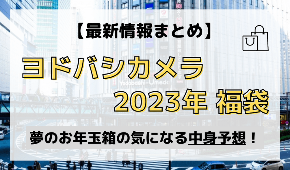 ヨドバシカメラ 2023年 夢のお年玉箱 スマホ用スタビライザーの夢 福袋