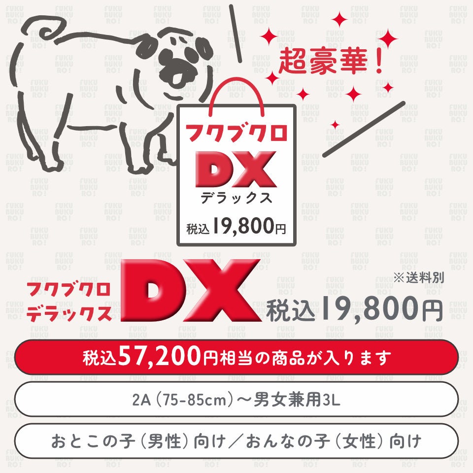 OJICO フクブクロDX（税込19,800円）